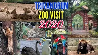 TRIVANDRUM ZOO VISIT | NEW 2020 UPADTE| ഒരു കിടു BREEDER