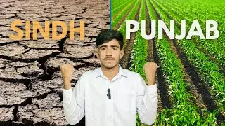 Why Punjab and Sindh Are Fighting Over Water