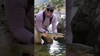 Fly Fishing for Trout & Making Memories!