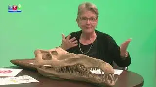 Barnas Monteith, Guest on Books, Arts, Music & More TV Show