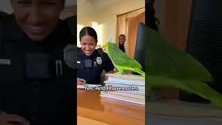 Parrot Reviews the Officer&rsquo;s Job 😂🦜&rdquo; #USAComedy #PoliceStation #Parrot#Parrots#shorts#funny