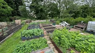 Late May allotment jobs