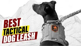 Tactical Dog Leash Showdown: Best Options for Control and Safety