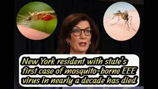 New York resident with state&rsquo;s first case of mosquito-borne EEE virus in nearly a decade has died