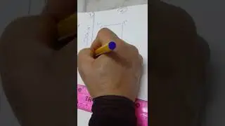 رسم قالب الظهر لليلك الرجالي