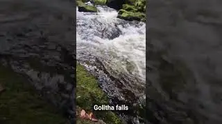 Golitha falls, Cornwall #cornwall #waterfall #subscribe #views #viral #like