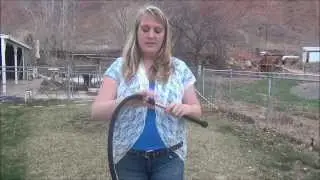 Show whip test crack