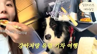 [VLOG] 독일 기차는 왜 그럴까.. 🇩🇪 유학생 친구와 프랑크푸르트 당일치기 (관종 강아지랑 유럽여행)