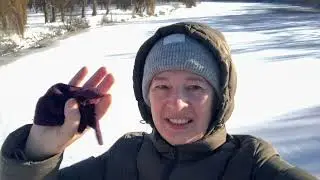 Река — всё. Куда делись утки?! 😱#жизньвчехии #зима2026 #утки #мороз #рекавстала #интрига