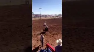 322 Bad Guy from Salt River Rodeo Co.