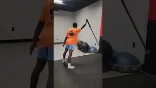 F.S Library - Landmine Bi lateral Clean x Press