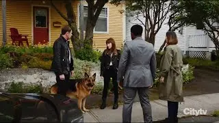Charlie, Rex, Sarah and Joe get back to work