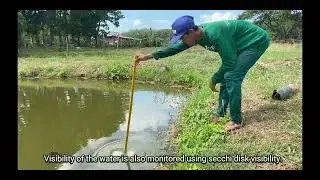 AQ 770 - Pond-based Hatchery at Central Luzon State University - College of Fisheries