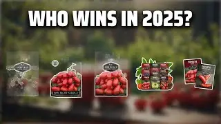 The Top 5 Best Roma Tomatoes in 2025 - Must Watch Before Buying!