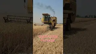 Wheat doable harvester par acker rate in Punjab #wheat #farming #agriculture