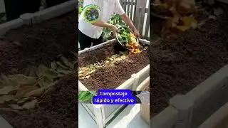 Compostaje r&aacute;pido y efectivo  &iexcl;Consejos esenciales!