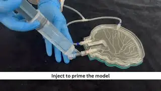 Full Scale MMA Setup: Essential Information for Surgical Simulations | SurgeonsLab SurgeonsLab