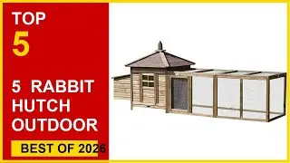 5 Best Rabbit Hutch Outdoor Wooden in 2026: Top Rated Picks