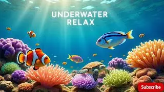 11 Hours 🌊 Ocean Dreamscape in 4K UHD | Music Heals the Heart & Relaxing Underwater Journey
