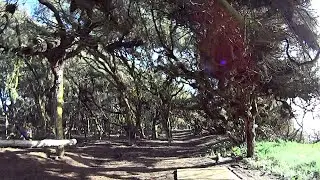 Lydgate Park Disc Golf Course - Back 9 - Wailua, Kauai, HI, USA