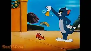Tom et Jerry version fran&ccedil;aise | Cartoon dr&ocirc;le #chat #souris #dessinanim&eacute;