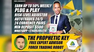 Free EA Forex Trading Robot - Up to 50% Weekly Profits with The Prophetic Key Robot by Louis JR