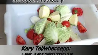 root vegetable seperator cabbage cutter electric fruit sectioning