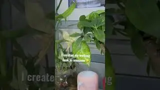 I created my working desk as Amazon forest 😂 #shortvideo #vegetables #farm