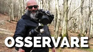 OSSERVARE CON IL TREPPIEDE