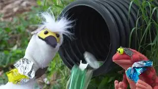 Pollution Hurts! Sweep Don&rsquo;t Hose