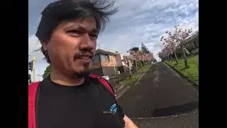 Run when you can, walk if you have to, crawl if you must; just never give up #marvinstonevlog 