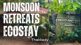 Experience Thekkady: Monsoon Retreats EcoStay | Places to Visit | #keralatourism #vlog
