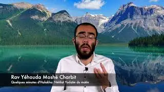 Quelques minutes d'Halakha: Nétilat Yadaïm du matin