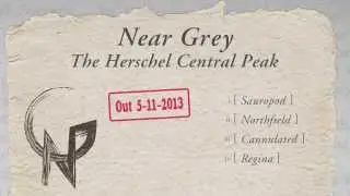Near Grey - Sauropod