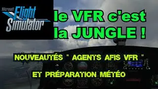 VFR / Microsoft Flight Simulator
