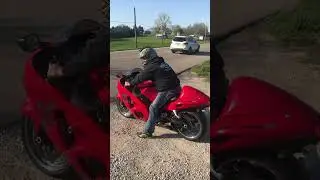 04 #Busa #LE #hayabusa #gsx1300r #peregrinefalcon #suzuki #bikelife