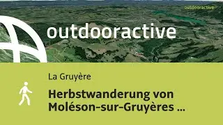 Herbstwanderung von Mol&eacute;son-sur-Gruy&egrave;res nach Plan-Francey am 2. Oktober 2025