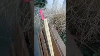 scream micro rockets #firework #fireworks #pyro #rockets #micro