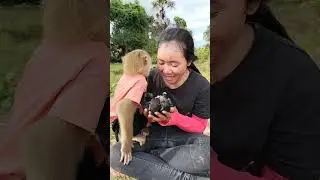 Best Video ! SokYaa & Mom Care Cute Animals #shorts