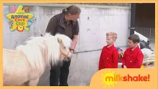 Kiera and her Cadets Help at Cannon Hall Farm 🤩🐶 | Animal Care Club FULL EPISODE | Milkshake!