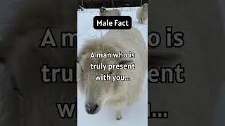 Male Fact - A man who is truly present with you...