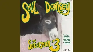 Soul Donkey