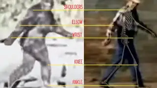 Dude in a Monkey Suit - Bigfoot Bob Heironimus