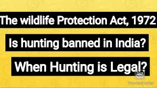 The wildlife ( Protection)Act, 1972, #hunting of wild animals , #lawselawyertak #Advocateasmita