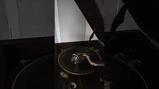 Buddy williams - beneath the Queensland moon 
