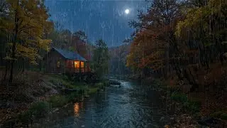 Heavy Rain Forest Ambience at Night | Natural Sounds for Deep Sleep and Mental Relaxation