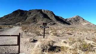 Devils Hole Pupfish