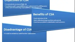 Экзамен CISA-тестирование, концептуальный контроль, самооценка CSA