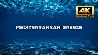 Underwater & Calm Music Ambience ⏐1 Hour⏐ 4K Night Mood Music