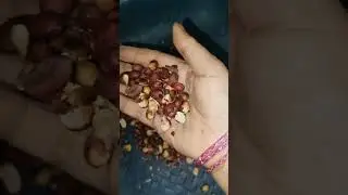 Moong phali recipe @emashaazkirasoi #healthyfood #food #cooking #moongphali recipe #chutney